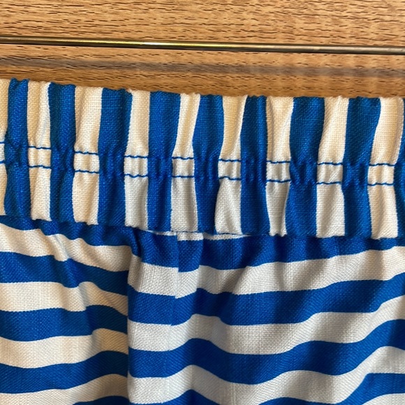 J Crew Royal Blue and White Striped Shorts - Picture 4 of 6